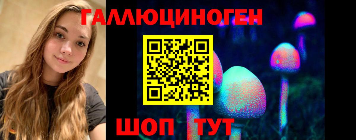 даркнет сайт  Вход с VPN  Фрязино  Псилоцибиновые грибы Psilocybe  Псилоцибиновые грибы мухоморы 