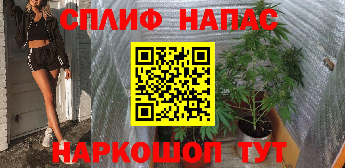 Канабис White Widow  Вход с VPN  Бошки марихуана марихуана  Марихуана план  Фрязино 